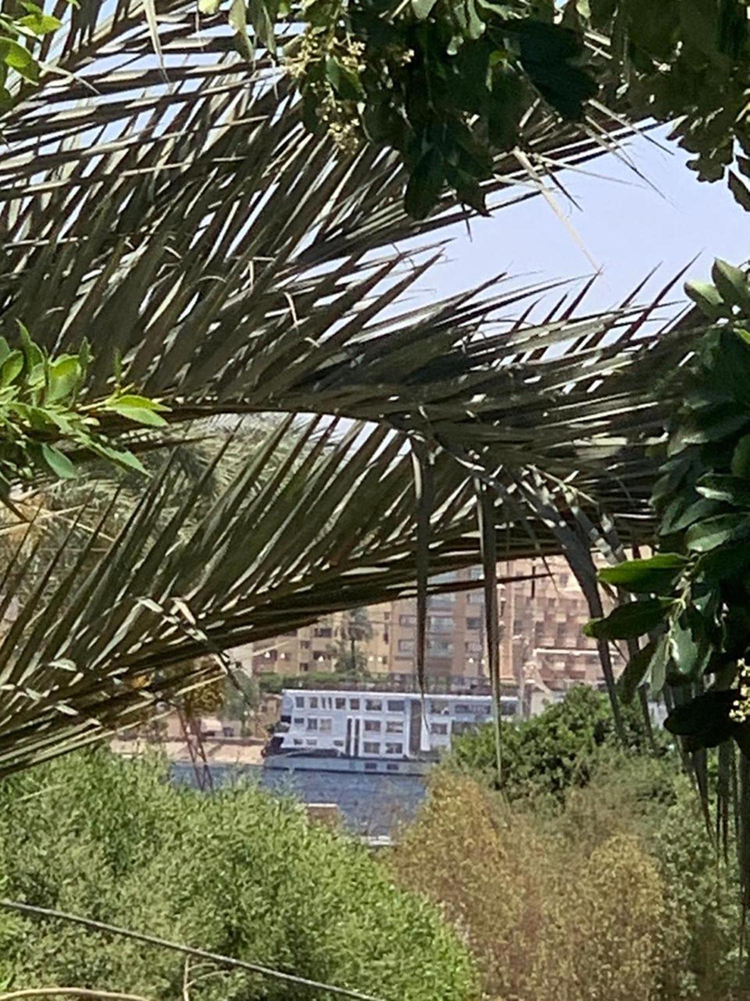 Villa Elhag Nile View Luksor Dış mekan fotoğraf